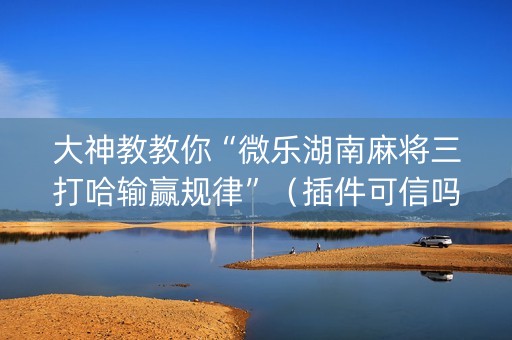 大神教教你“微乐湖南麻将三打哈输赢规律”（插件可信吗)