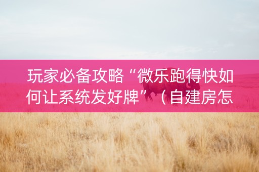 玩家必备攻略“微乐跑得快如何让系统发好牌”（自建房怎么赢)