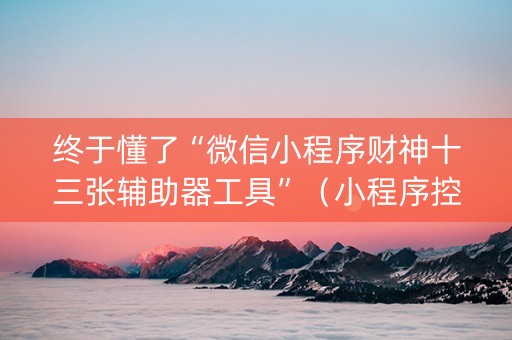 终于懂了“微信小程序财神十三张辅助器工具”（小程序控牌器)