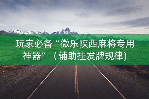 玩家必备“微乐陕西麻将专用神器”（辅助挂发牌规律)