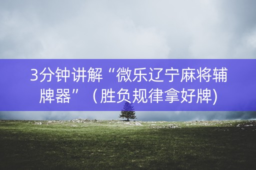 3分钟讲解“微乐辽宁麻将辅牌器”（胜负规律拿好牌)