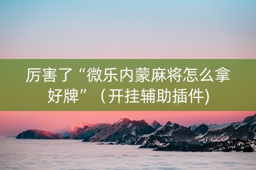厉害了“微乐内蒙麻将怎么拿好牌”（开挂辅助插件)