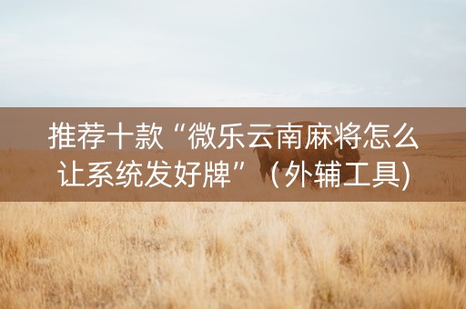 推荐十款“微乐云南麻将怎么让系统发好牌”（外辅工具)