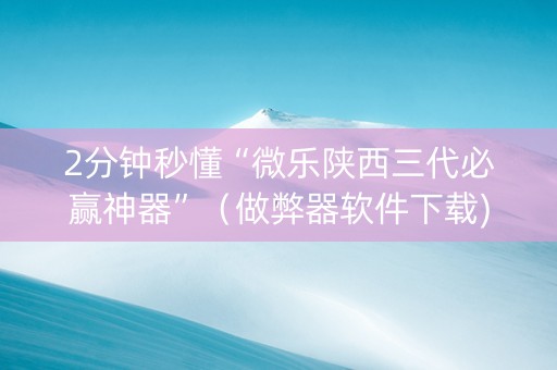 2分钟秒懂“微乐陕西三代必赢神器”（做弊器软件下载)