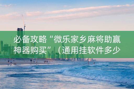 必备攻略“微乐家乡麻将助赢神器购买”（通用挂软件多少钱)