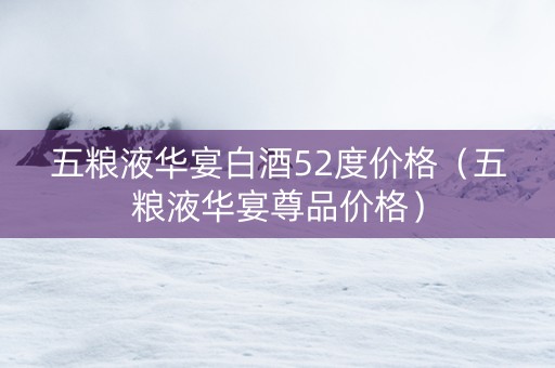 五粮液华宴白酒52度价格（五粮液华宴尊品价格）