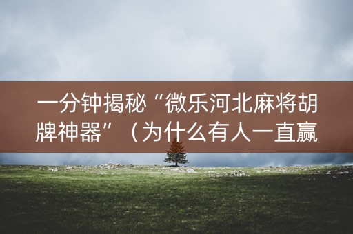 一分钟揭秘“微乐河北麻将胡牌神器”（为什么有人一直赢)