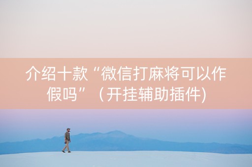 介绍十款“微信打麻将可以作假吗”（开挂辅助插件)