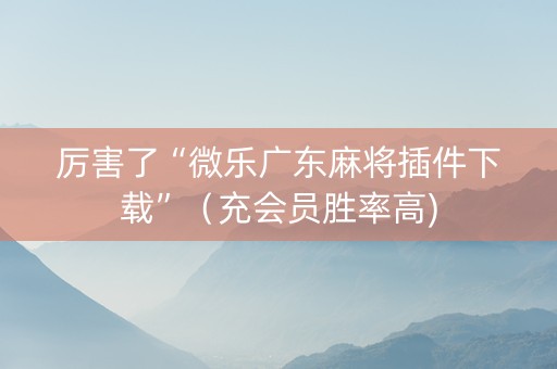 厉害了“微乐广东麻将插件下载”（充会员胜率高)