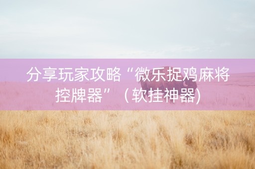 分享玩家攻略“微乐捉鸡麻将控牌器”（软挂神器)