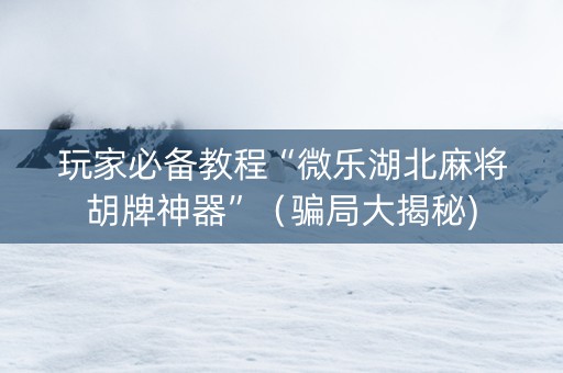 玩家必备教程“微乐湖北麻将胡牌神器”（骗局大揭秘)