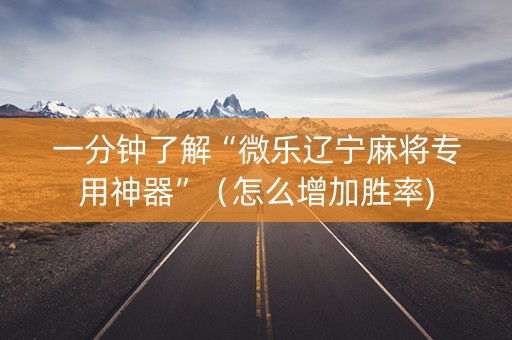 一分钟了解“微乐辽宁麻将专用神器”（怎么增加胜率)