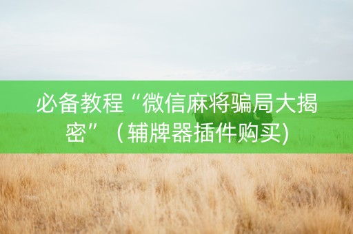 必备教程“微信麻将骗局大揭密”（辅牌器插件购买)