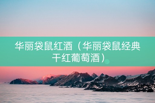 华丽袋鼠红酒（华丽袋鼠经典干红葡萄酒）