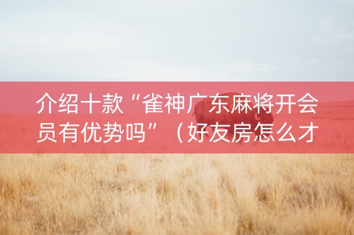 介绍十款“雀神广东麻将开会员有优势吗”（好友房怎么才能赢)