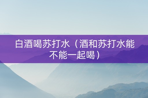 白酒喝苏打水（酒和苏打水能不能一起喝）