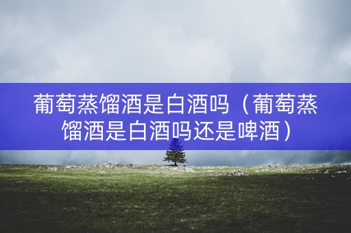 葡萄蒸馏酒是白酒吗（葡萄蒸馏酒是白酒吗还是啤酒）