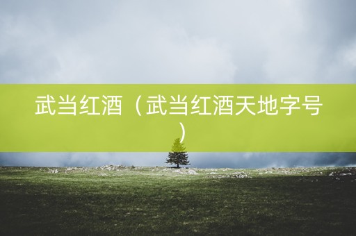 武当红酒（武当红酒天地字号）