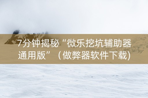 7分钟揭秘“微乐挖坑辅助器通用版”（做弊器软件下载)