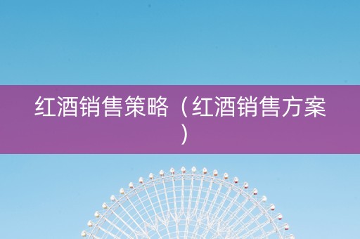 红酒销售策略（红酒销售方案）