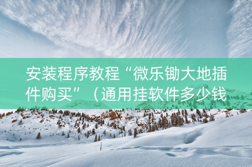 安装程序教程“微乐锄大地插件购买”（通用挂软件多少钱)