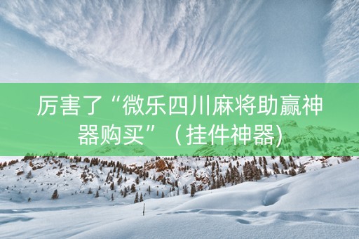 厉害了“微乐四川麻将助赢神器购买”（挂件神器)
