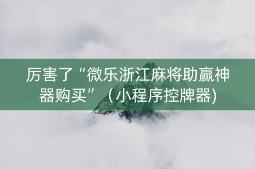 厉害了“微乐浙江麻将助赢神器购买”（小程序控牌器)