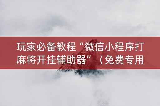 玩家必备教程“微信小程序打麻将开挂辅助器”（免费专用神器)