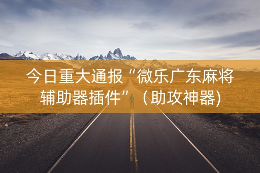 今日重大通报“微乐广东麻将辅助器插件”（助攻神器)