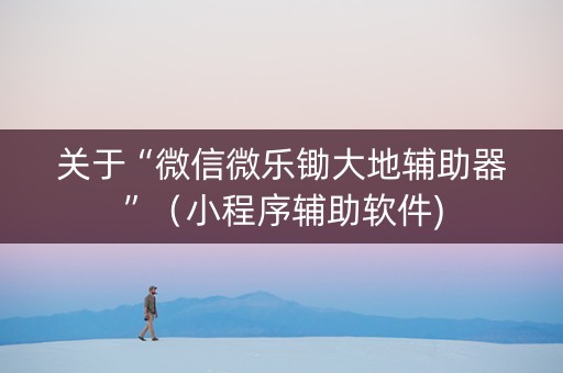 关于“微信微乐锄大地辅助器”（小程序辅助软件)
