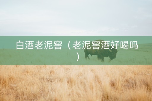 白酒老泥窖（老泥窖酒好喝吗）