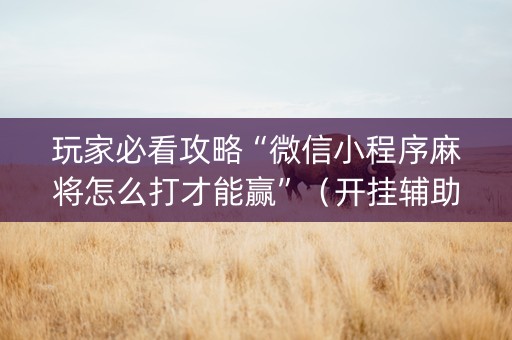 玩家必看攻略“微信小程序麻将怎么打才能赢”（开挂辅助脚本)