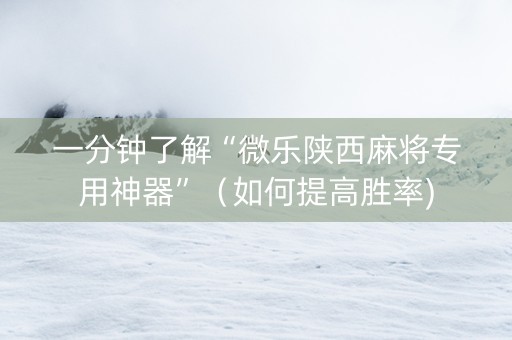 一分钟了解“微乐陕西麻将专用神器”（如何提高胜率)