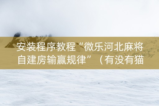 安装程序教程“微乐河北麻将自建房输赢规律”（有没有猫腻)