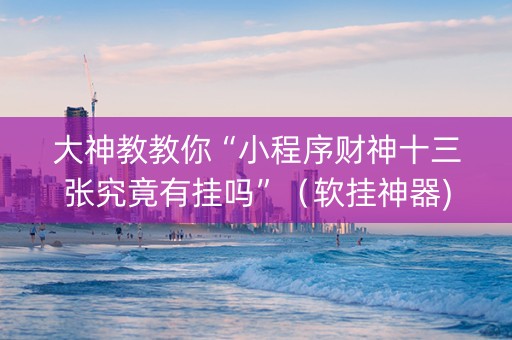 大神教教你“小程序财神十三张究竟有挂吗”（软挂神器)