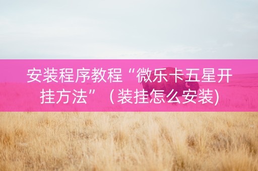 安装程序教程“微乐卡五星开挂方法”（装挂怎么安装)