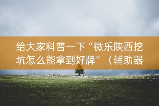 给大家科普一下“微乐陕西挖坑怎么能拿到好牌”（辅助器通用版)