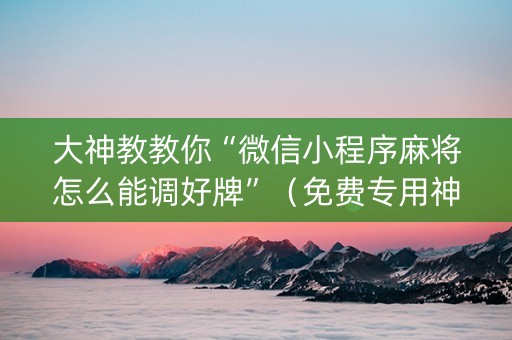 大神教教你“微信小程序麻将怎么能调好牌”（免费专用神器)