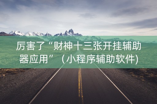 厉害了“财神十三张开挂辅助器应用”（小程序辅助软件)