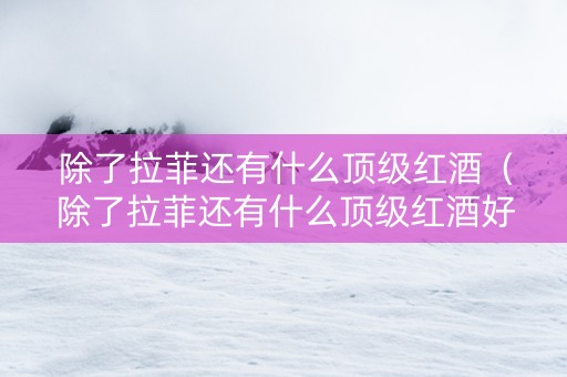 除了拉菲还有什么顶级红酒（除了拉菲还有什么顶级红酒好喝）