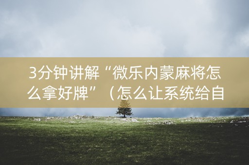 3分钟讲解“微乐内蒙麻将怎么拿好牌”（怎么让系统给自己好牌)