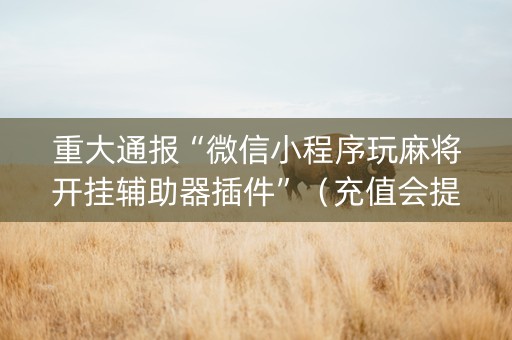 重大通报“微信小程序玩麻将开挂辅助器插件”（充值会提高胜率么)
