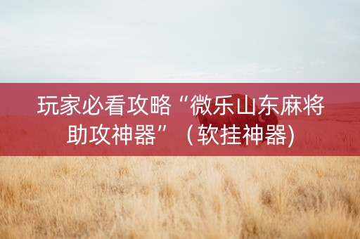 玩家必看攻略“微乐山东麻将助攻神器”（软挂神器)