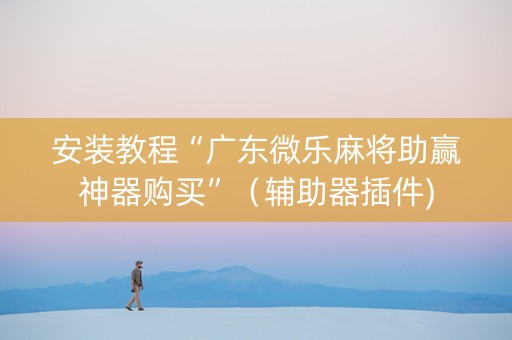 安装教程“广东微乐麻将助赢神器购买”（辅助器插件)