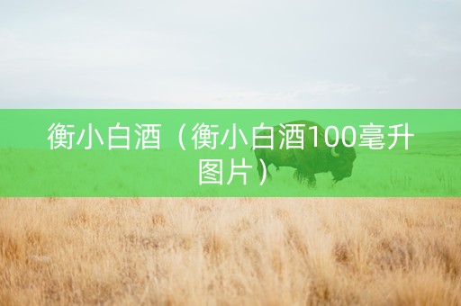衡小白酒（衡小白酒100毫升图片）