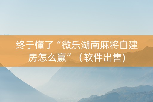 终于懂了“微乐湖南麻将自建房怎么赢”（软件出售)