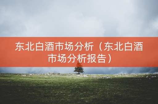 东北白酒市场分析（东北白酒市场分析报告）