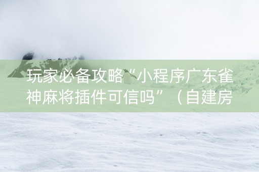 玩家必备攻略“小程序广东雀神麻将插件可信吗”（自建房怎么赢)