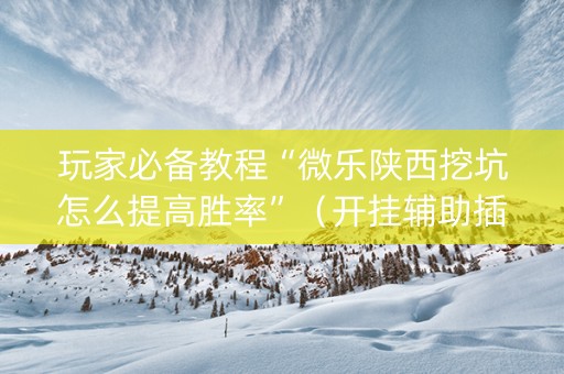 玩家必备教程“微乐陕西挖坑怎么提高胜率”（开挂辅助插件)
