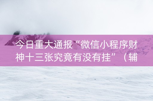 今日重大通报“微信小程序财神十三张究竟有没有挂”（辅助器插件)